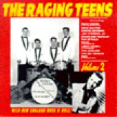 V.A. 'The Raging Teens Vol. 2'  LP